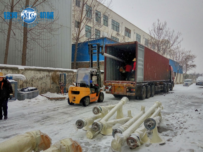 塞爾維亞全自動干粉砂漿設備冒著風雪出發啦